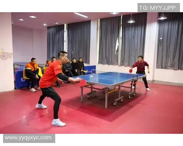 上海乒乓球队引领最新乒乓球节奏TOP10榜单精彩纷呈