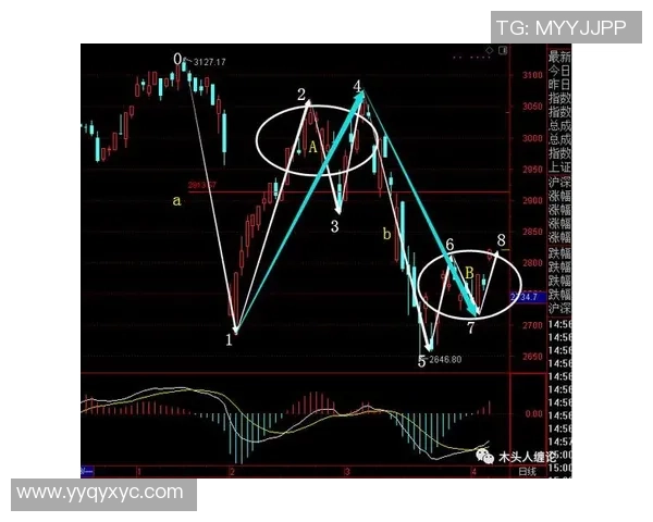 上海排球队边路渗透战术深度解析与实战应用探讨